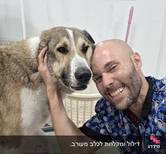 אדם מחייך עם כלב גדול בחדר טיפוח